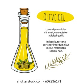 Colorful hand drawn olive oil bottle with sample text. Isolated cute flask with healthy cooking oil and olives. Sketchy cartoon illustration for restaurant, organic shop banner, flyer, coupon.