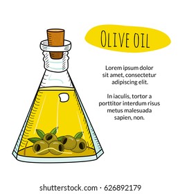 Colorful hand drawn olive oil bottle with sample text. Isolated cute decanter with healthy cooking oil and olives. Sketchy cartoon illustration for restaurant, organic shop banner, flyer, coupon.