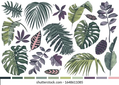 Colorful hand drawn set of tropical leaves and plants. Vector illustration