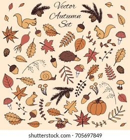 Colorful hand drawn set of vector autumn elements. Includes foliage, rowan berries, acorns, mushrooms, oak and maple leaves, rosehips, squirrels, pine cones and branches, a mouse and a hedgehog.