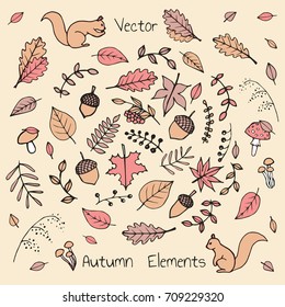 Colorful hand drawn set of vector autumn elements and animals. Includes foliage, rowan berries, acorns, mushrooms, oak and maple leaves and squirrels.