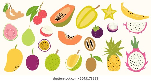 Colorful hand drawn tropical fruits. Exotic summer fruit illustration with mango, papaya, dragon fruit, pineapple. Flat vector fruity design for tropical packaging, healthy food label, kitchen decor.