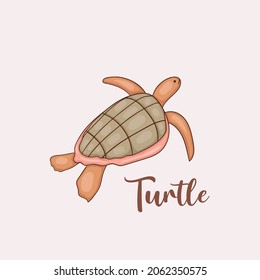 Colorful Hand drawn turtle illustration