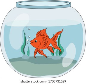 Colorful  hand drawn Vector Illustration Gold Fish in bowl