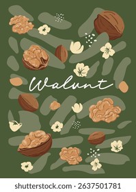 Colorful Hand Drawn Walnut and Leaf Illustration – Healthy Food Design