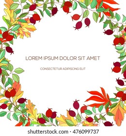 Colorful hand drawn wreath of hawthorn and autumn leaves on white background, vector illustration can be used for cards, invitation, postcard or website banner. Autumn card. Natural design.