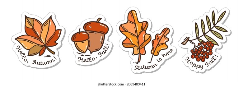 Colorful hand-drawn autumn sticker set with oak leaves, acorns, maple leaf, and a bunch of rowan in doodle style and lettering isolated on white background.