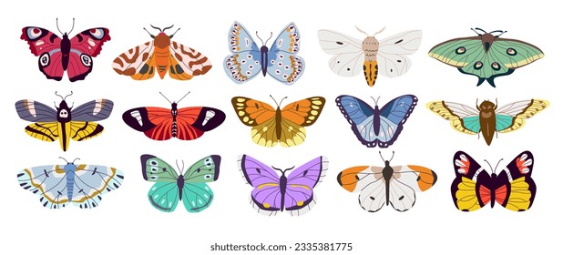 Coloridas mariposas y polillas dibujadas a mano. Insectos decorativos de verano voladores con alas coloridas. Ilustración vectorial.