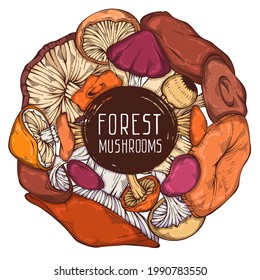 Colorful hand-drawn forest wild collection of assorted mushrooms. Circular cute frame. Can be used for menu design, recipe, label, icon, recipe, packaging, web. Cartoon style. Botanical drawing