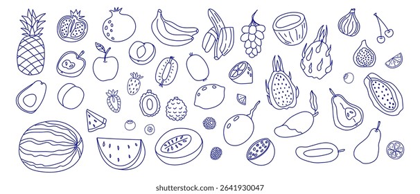Colorful hand-drawn fruits arranged artistically on a white background showcasing variety and detail