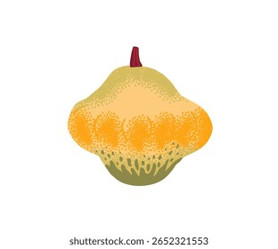 Colorful hand-drawn gourd with a bumpy surface, perfect for autumn or Thanksgiving designs. Isolated on white background.