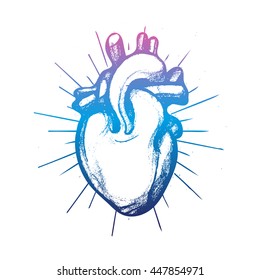 Colorful hand-drawn human heart with rays and place for message