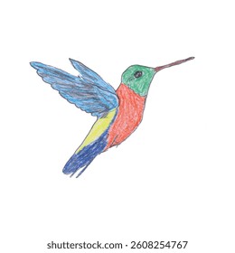 Colorful Hand-Drawn Hummingbird Illustration with Vibrant Details   