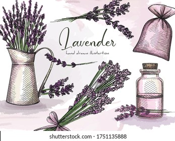 Colorful Hand-drawn sketch set of lavender on a white background. Herbs and plants. Lavender flower with a glass jar, bag for herbs, bunch of lavender, lavender flowers in a metal jar. Colorful set