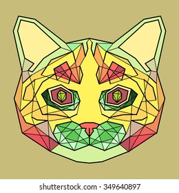 Colorful Head of Abstract Cat in linear graphic design