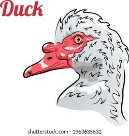 Colorful head of duck. Minimalistic style