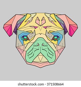 Colorful head of Pug in linear graphic design 