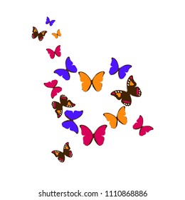 Colorful heart of butterflies