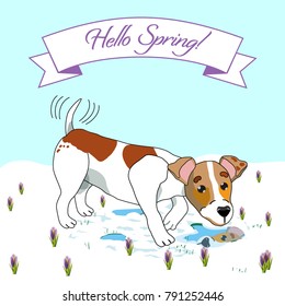 Colorful Hello Spring poster with greeting inscription flowers and dog looking at his reflection in water vector illustration
