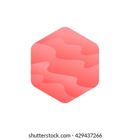 Colorful Hexagon logo. Creative Design