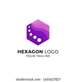 Colorful hexagon Logo Vector Illustration