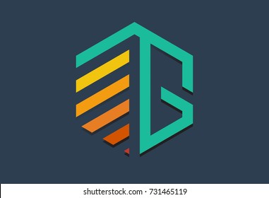 colorful hexagonal logo letter g