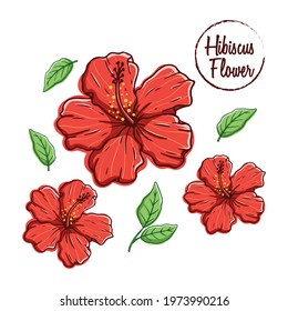 colorful hibiscus flower with hand draw style