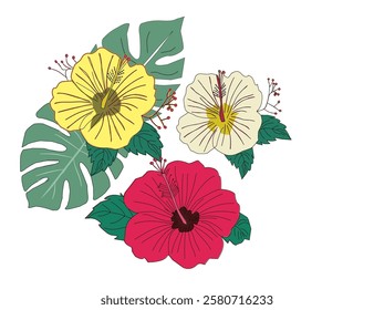 Colorful hibiscus flower with tropical leaf. Flower vector. Hibiscus flower with monstera.  Hibiscus flowers and monstera leaves in a tropical arrangement isolated.