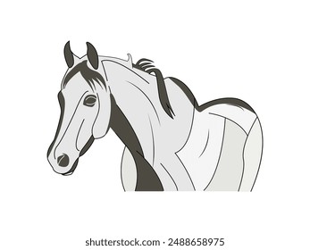 Colorful horse Illustration vector Isolated on a white background