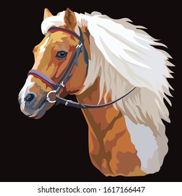 Colorful horse portrait with bridle. Horse head with long mane in profile isolated on black background. Vector colorful illustration. Retro style portrait of running horse.