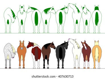colorful horses in a row