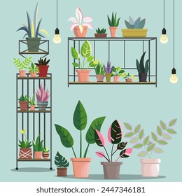 Colorful houseplants in room on shelfs and floor with furniture. Urban jungle design. Flowershop. Vector illustration