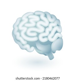Colorful human brain icon in 3d style. Internal human organ or mind flat vector illustration. Intelligence, science, education, anatomy, medicine, neurology concept