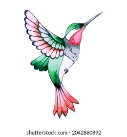 Colorful hummingbird in flight with bright feathers. Flying exotic hummingbird for spring and summer design. Small tropical bird in watercolor style. Natural decoration. Vector isolated illustration