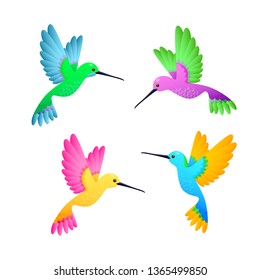 Colorful hummingbird set. Cute little birds with bright feathers. Can be used for topics like nature, ornithology, exotic birds