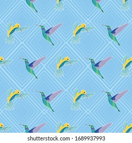 Colorful HummingBirds seamless pattern on textured light blue background