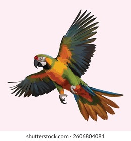 Colorful hunting parrot flying isolated on with white background.