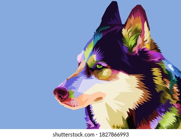 colorful husky dog on pop art style.vector illustration.