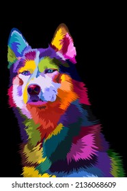 colorful husky dog on pop art style geometric. Polygonal Animals.