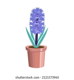 Colorful hyacinth flower in a flower pot,isolated on a white background.Vector illustration can be used in postcards,textiles, labels.