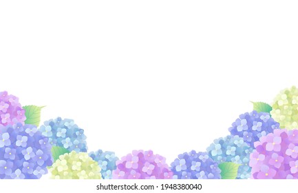 Colorful Hydrangea Vector Illustration Frame Background