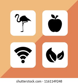 colorful icon. 4 colorful set with leaf, flamingo, wifi and fruit vector icons for web and mobile app