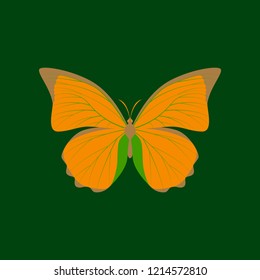 Colorful icon of butterfly isolated on green