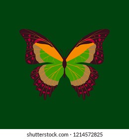 Colorful icon of butterfly isolated on green