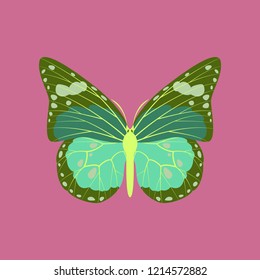Colorful icon of butterfly isolated on pink