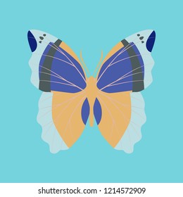 Colorful icon of butterfly isolated on blue