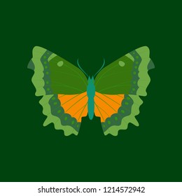 Colorful icon of butterfly isolated on green