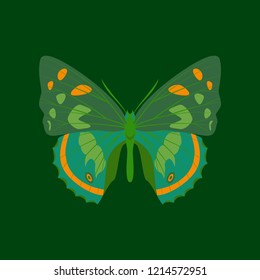 Colorful icon of butterfly isolated on green