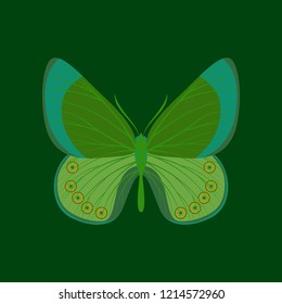 Colorful icon of butterfly isolated on green