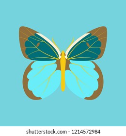 Colorful icon of butterfly isolated on blue